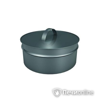 Заглушки Теплов и Сухов Заглушка ревизии Термо-Р 304 0.5 D220(120) в Новокузнецке